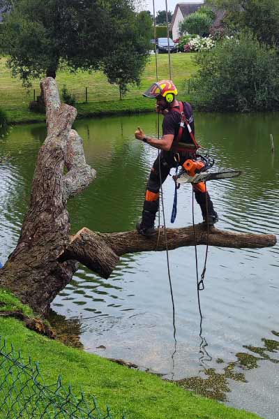 abattage-arbre-lac-saint-nazaire