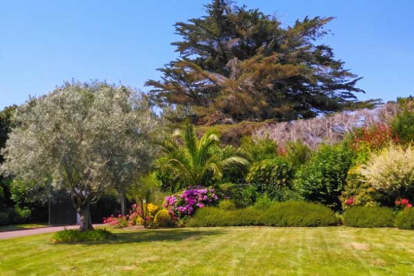 paysagiste-loire-atlantique-jardin-2