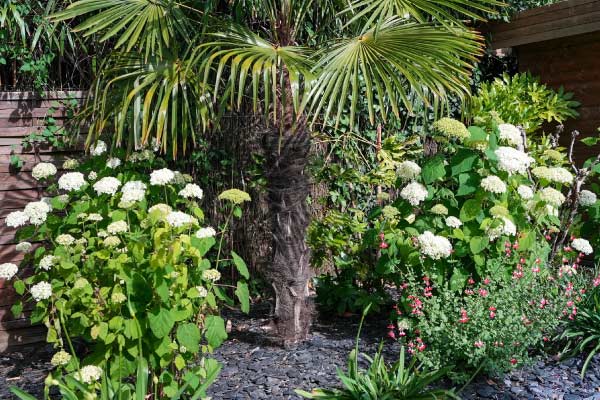 amenagement-plantation-vegetale guerande Végétalisez votre jardin avec des plantations adaptées au climat de Saint-Nazaire