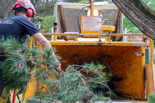 broyeuse-branche-arbre-guerande Broyeuse professionnelle pour grandes branches d'arbres à Saint-Nazaire