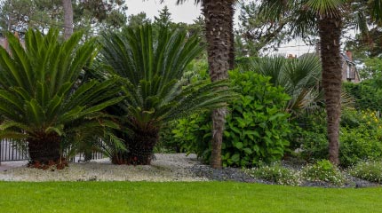 creation-jardin-sur-mesure-saint-nazaire Création de jardin sur mesure à Saint-Nazaire