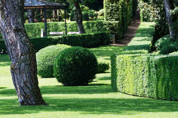haies-buisson-design-saint-nazaire Taille de haies et de buissons design La Baule