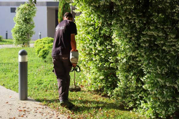 tonte-pelouse-residence saint nazaire Prenez un contrat pour entretenir votre pelouse et les abords de votre résidence à Saint-Nazaire